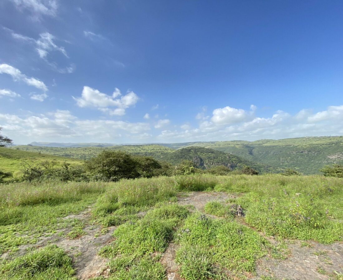Salalah Tours